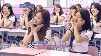 韩国限制综艺在线观看,在线观看受限，粉丝热议影响